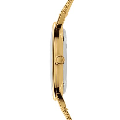 Classic Gold Champagne Line 33mm